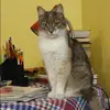 Отзыв от Аня Ермилова